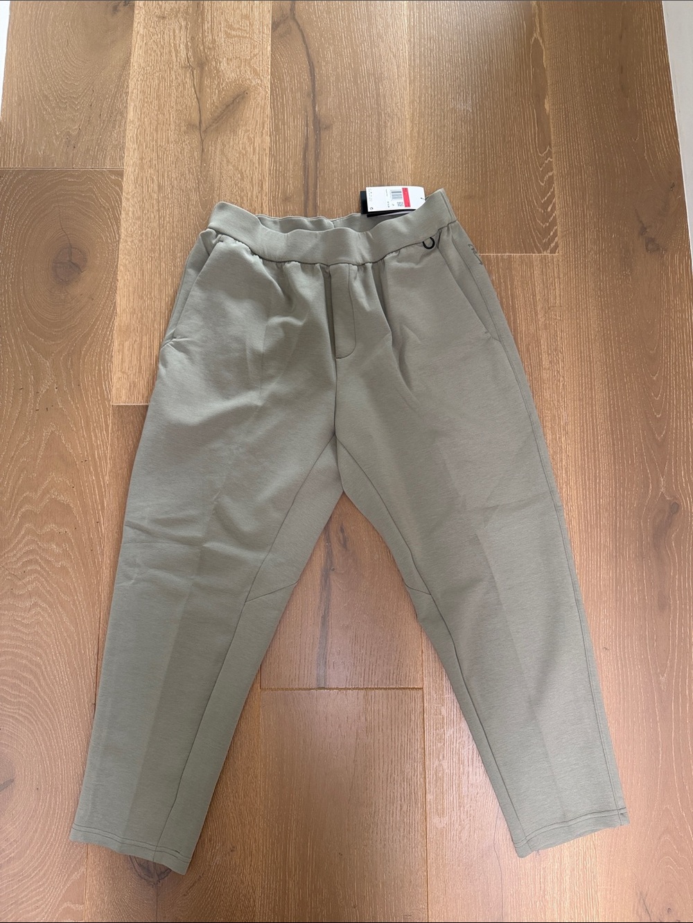 Nike Men's Olive Sage Training pants